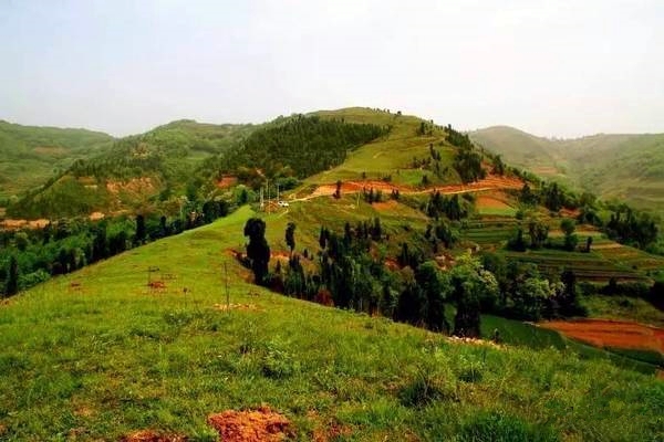 村落振兴工作动态 （第142期）