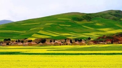 推动农业村落经济安稳运行