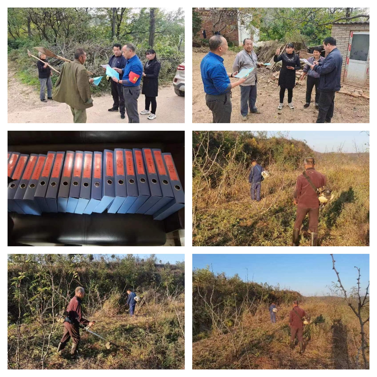 村落振兴工作动态 （第139期）