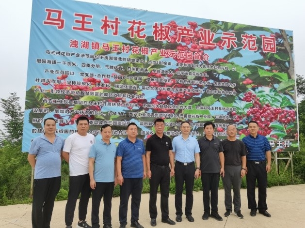 村落振兴工作动态（第136期）