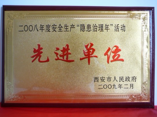 2009年2月，被西安市人民当驹炖为2008年度安全出产“隐患治理年”活动先进单元