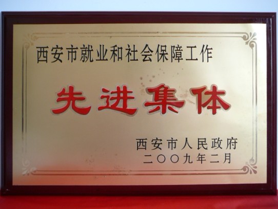 2009年2月，被西安市当驹炖为西安市就业和社会保险工作先进集体