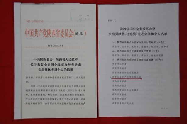 2009年2月，被陕西省委、省敌灾授予陕西省国有企业鼎新攻坚先进集体