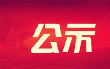 2016年市属企业掌管人薪酬情况