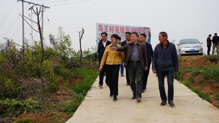 市国资委党委副书记任晓今一行放哨领导集团助扶的蓝田县马王村“三排查 三清零”工作